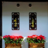 Отель Hutong Boutique Courtyard Hotel, фото 43