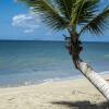Отель Rincon of the Seas - Grand Caribbean Hotel, фото 22