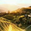 Отель Longji terrace Wuyou Shanshe Homestay (thousand storey terrace viewing platform), фото 1