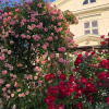 Отель Amiralsgården Werstorp, фото 1