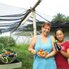 Отель Richmond Vale Diving and Hiking Center - Hostel, фото 22
