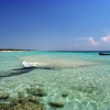 Отель Punta Prosciutto Bed To Rent, фото 20