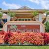 Отель Palms at Cove View 1704 - Glowing Fun, фото 1