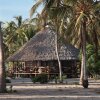 Отель Kijongo Bay Beach Resort, фото 10