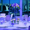 Отель The Ritz-carlton, Almaty, фото 30