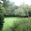 Отель The Wind in the Willows Country House Hotel, фото 14