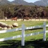 Отель Warner Springs Ranch, фото 24