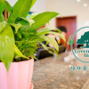 Отель GreenTree Inn Gansu Wuwei Dongguan Fumin Road Express Hotel, фото 7