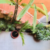 Отель Greenwood Living Compass, фото 16