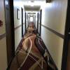 Отель Days Inn Moab, фото 9
