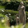 Отель Luxury Villa Excelsior Parco, фото 20
