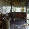 Отель Coconuts Hummingbird, фото 24