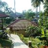 Отель Paradise Bungalows, фото 30