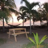 Отель Backpackers Beach Hostel, фото 16
