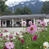 Отель Tsuen Feng, фото 19