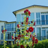 Отель Panorama Hotel Lohme, фото 30