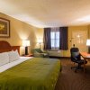 Отель Quality Inn & Suites Garland - East Dallas, фото 43