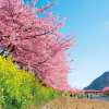 Отель Izu Inatori Terrace - Kando -, фото 28