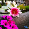 Отель Shanshui Wujian lnn, фото 11