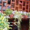 Отель Lijiang Manzhu City Love Inn, фото 2