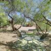 Отель Old Town Cottonwood Cottage w/ Yard, Pets Welcome, фото 15