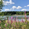 Отель Wooden chalet with oven, in Oberharz near a lake, фото 23