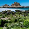 Отель Reflections Holiday Parks Nambucca Heads, фото 26