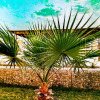 Отель Chalet Palmera Resort Ain Sukhna-Egypt, фото 22