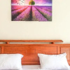 Отель BB Accommodation Service, фото 6