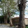 Отель Dandyvillas Vintage Cottage House Argalasti Kallithea Pelion, фото 9