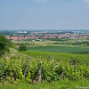 Отель Coeur D'alsace Colmar Vignobles Ouest Avec Terrasses, фото 15