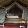 Отель Ngamba Island Tented Camp, фото 7