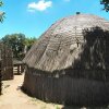 Отель Swazi Village Home Stay, фото 10