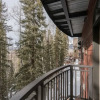 Отель Bear Creek Lodge 301ab 2 Bedroom Condo by Alpine Lodging Telluride, фото 15