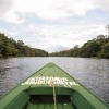 Отель Amazonia Jungle Hotel, фото 42