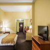 Отель Comfort Inn & Suites, фото 45