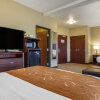 Отель Quality Inn & Suites, фото 50