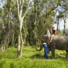 Отель Anantara Golden Triangle Elephant Camp & Resort, фото 40