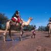 Отель Samburu Intrepids Tented Camp, фото 14