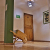 Отель La Casa Verde, фото 14