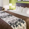 Отель Sleep Inn Near Outlets, фото 4