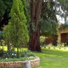 Отель Sarabi Country Lodge, фото 10