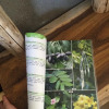 Отель Jing Pu Plant Theme Hostel, фото 22