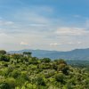 Отель Attractive Apartment on Estate With Vineyards and Olive Grove, Near Florence, фото 18