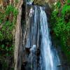 Отель African Wagtail House, фото 9