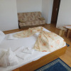 Отель Pensiunea Hera Standard, фото 6