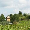 Отель Luxurious Farmhouse in Ghizzano Italy with Swimming Pool, фото 11