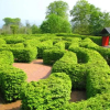 Отель Lurig View B&B, фото 6