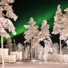 Отель Northern Lights Ranch, фото 1