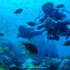 Отель Satun Dive Resort, фото 9